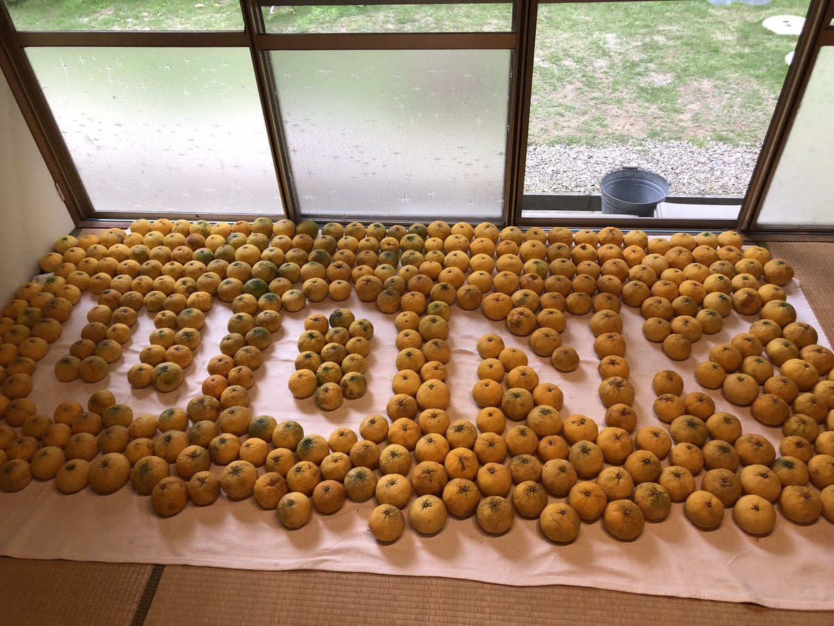 マイコー tweet media