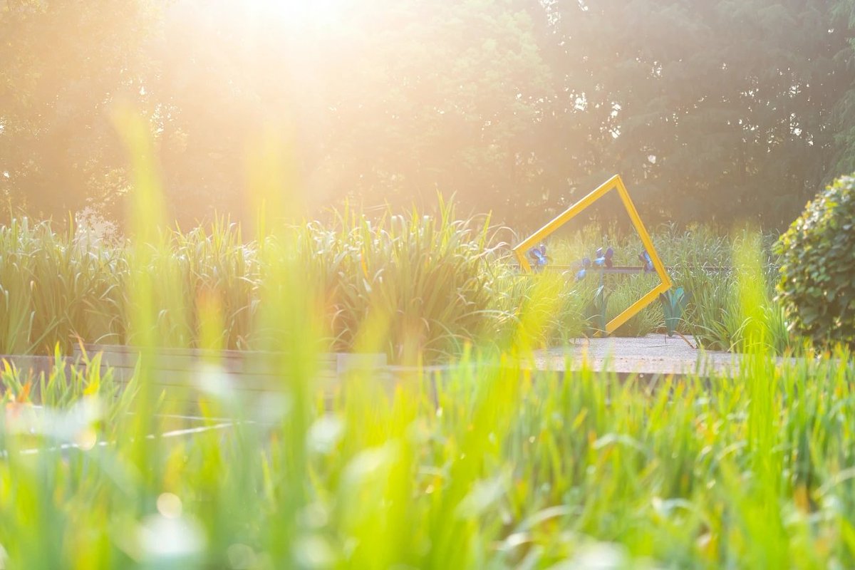 Tweets With Replies By 苏若颖 Able Twitter