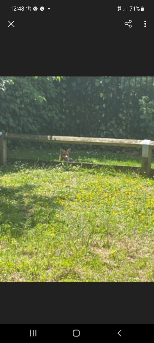 I have some assistance with my estate inspection at Pearce House #ispywithmylittleeye 🦊, I will also be reporting the outstanding broken fence and the broken lock on the bin doors to our #RepairsTeam again #teampurple #nhood12 @pa_housing