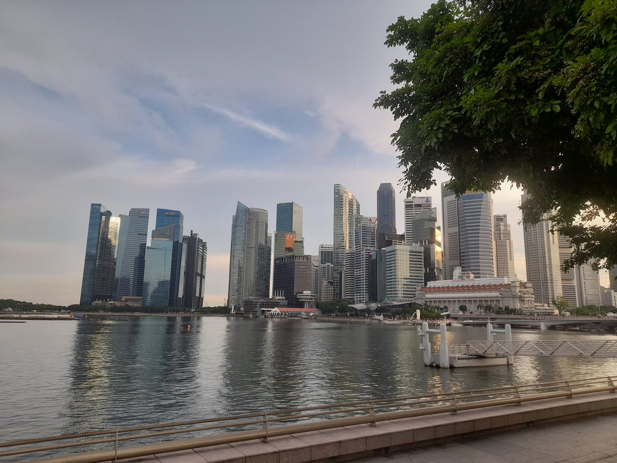 mmattthews's tweet photo. @Jon_Anik @AnikFlorianPod You're a work horse, I'm still out here enjoying Singapore haha https://t.co/ZF19ow8jiY