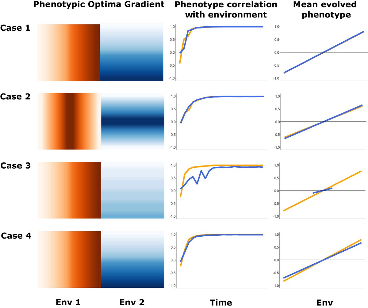 EvolAppJournal's tweet photo. This paper explores the robustness of Gradient Forest Offset to assumption violations, and its relationship to measures of fitness, using #SLiM simulations with explicit #genome #architecture and a spatial #metapopulation. https://t.co/cTihcZMSAx