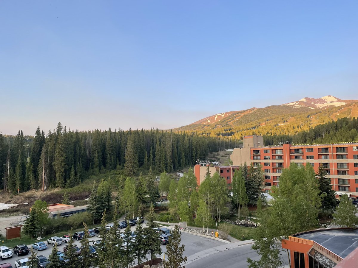 Nannette McMurtry tweet media