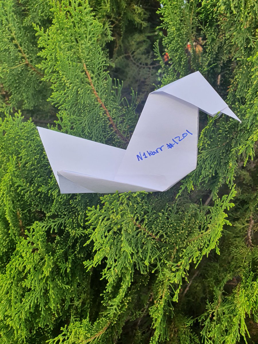 As a prospective Mallard, I solemnly swear to uphold the will of The Order. The secrets of The Crypt shall never leave my bill. I hereby proclaim my unwavering loyalty and devotion to The Order.<a href="/MallardOrder/">The Mallard Order</a>
#CNFT #CNFTCommunity #CNFTProject #Cardano #CardanoNFT #MallardOrder