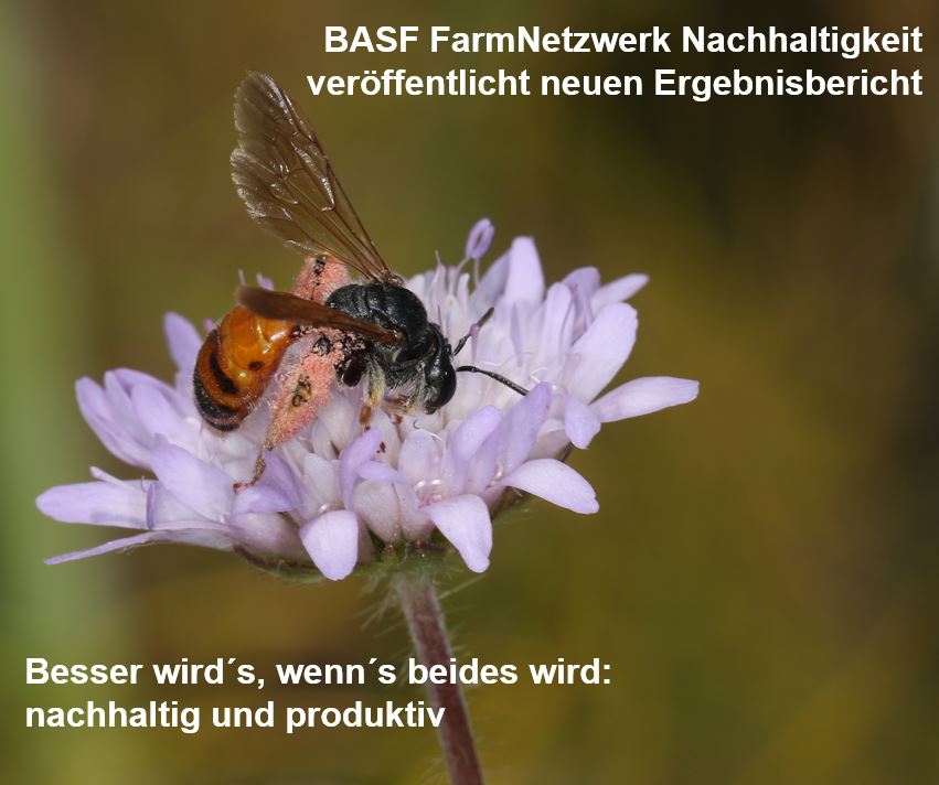 Wenn beides geht: Effiziente Lebensmittelproduktion und große Artenvielfalt. Ergebnisbericht bestätigt, dass produktive Landwirtschaft &amp; Naturschutz gleichzeitig möglich sind. #Biodiversität #BASF #Landwirtschaft #Artenvielfalt #BessereErträge
