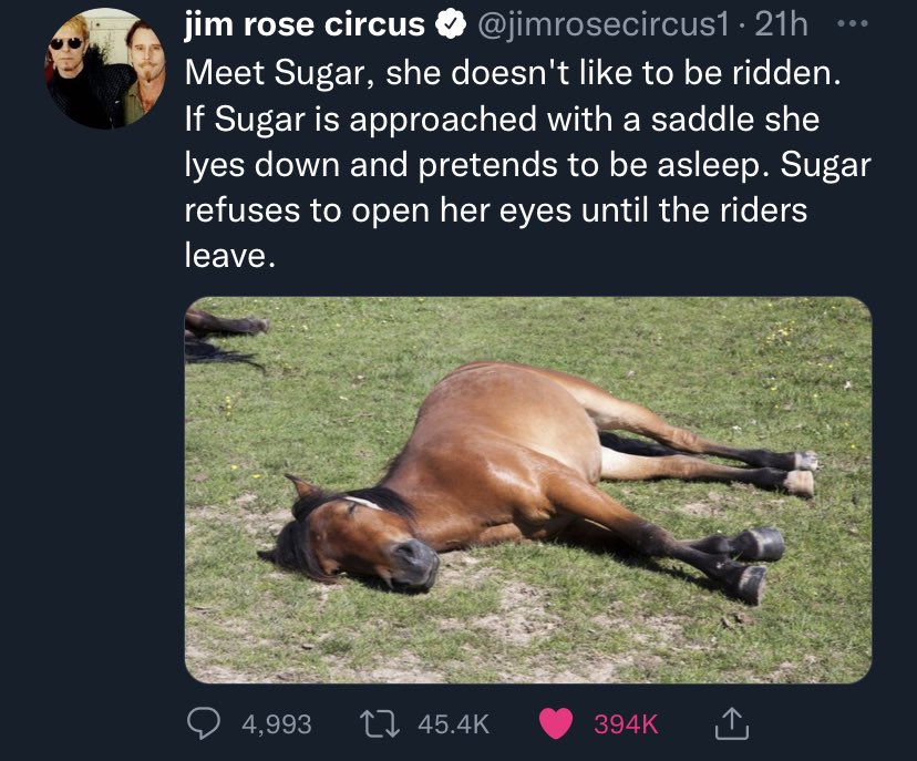 dcanfi's tweet photo. It’s 7am and I’m already disappointed.. https://t.co/NW552R3WVo
