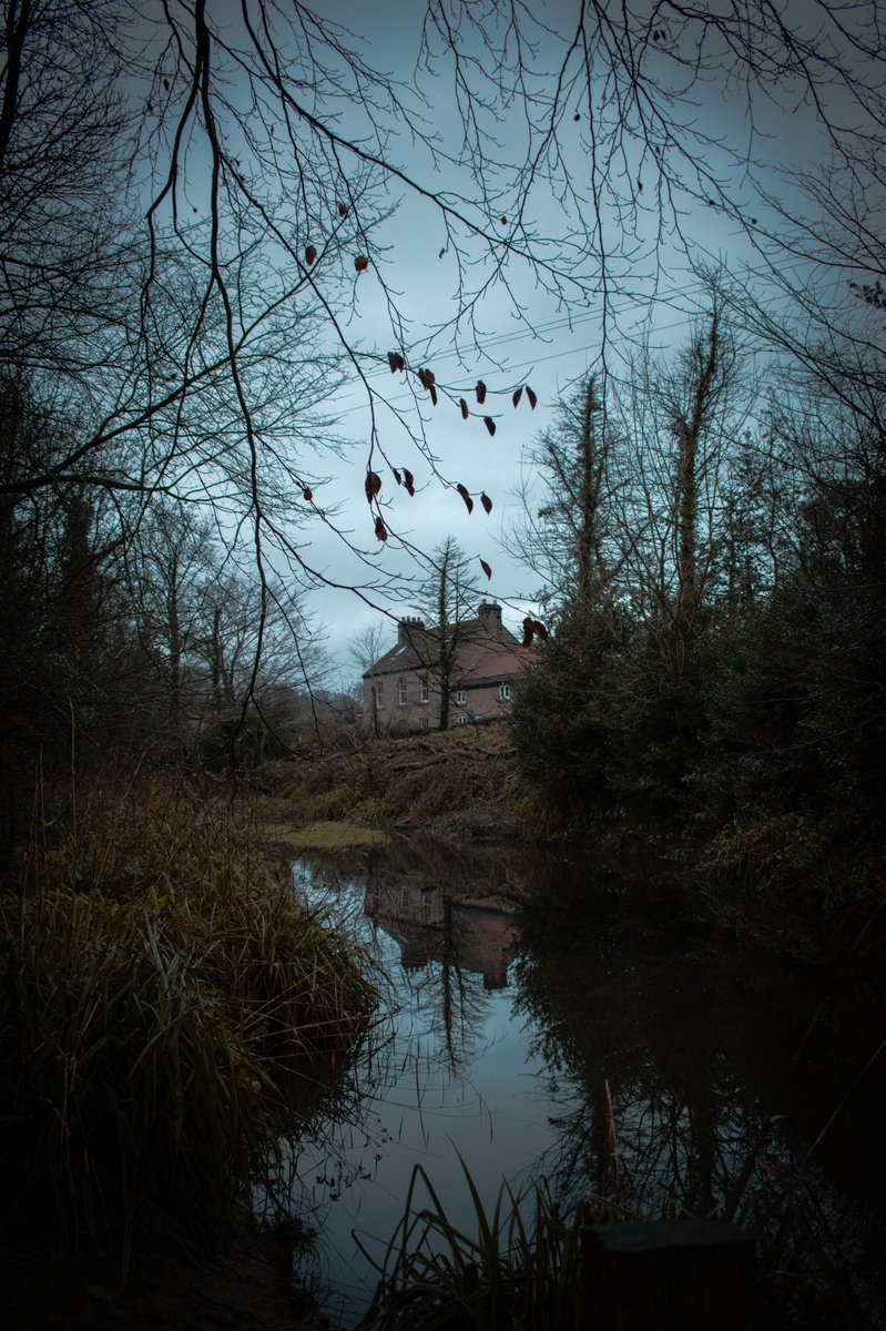 matthewdavidz's tweet photo. Moody Monday ☁️
#photography https://t.co/S56FY5aExn