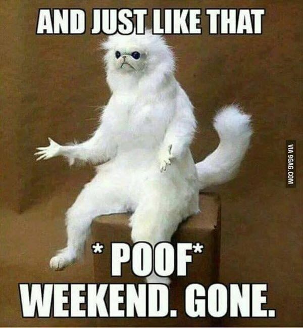 KizbeesKitchen's tweet photo. Wait it's already Monday!
#meme #mondays #nomoreweekend #humor #funny #laughing #baking #bakery #smallbusiness https://t.co/rKyNXuYqjx