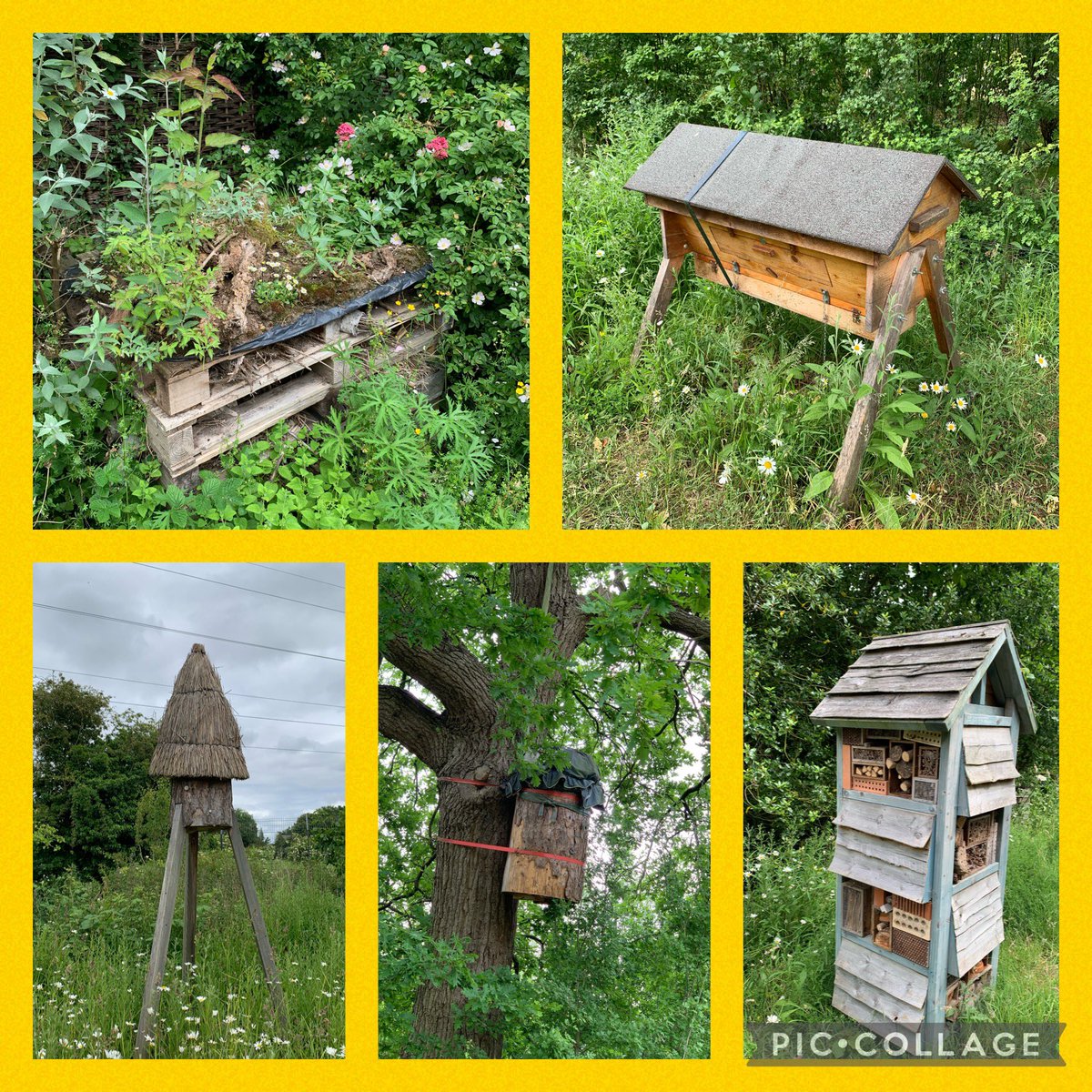 FrodshamCE's tweet photo. How do bees get to school?
They take the school buzz! ๐๐
Thanks Jess for an interesting, informative talk about bees & reptiles ๐๐ฆ
#HiveOfActivity #SssuperAfternoon
#Y6 @chesterzoo @learnatcz #wildlifeconnections https://t.co/7E3MiaK8AK