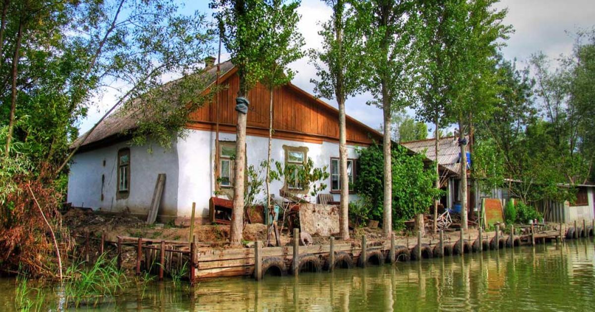 Stand with Ukraine tweet media