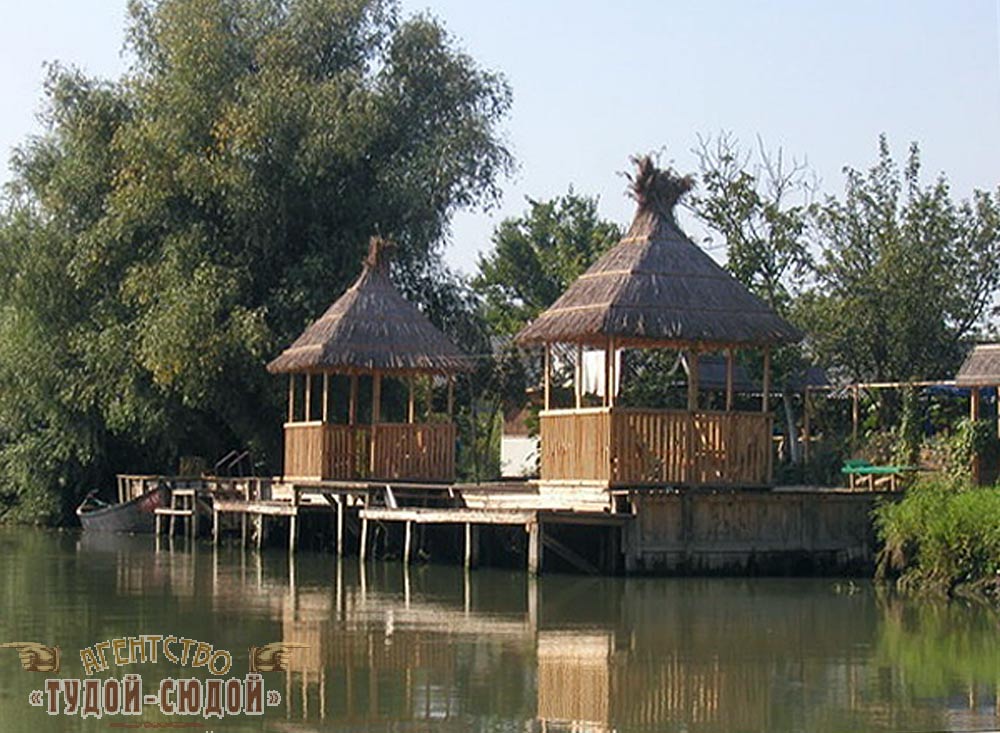 Stand with Ukraine tweet media