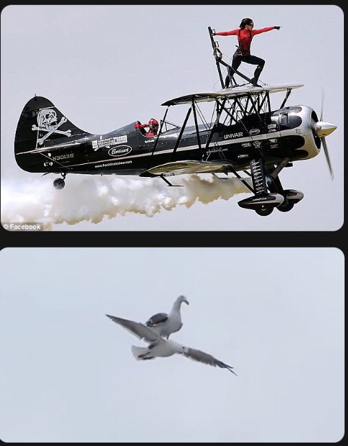 aldo369369369's tweet image. Who did it better?

#naturevstechnology #scifun