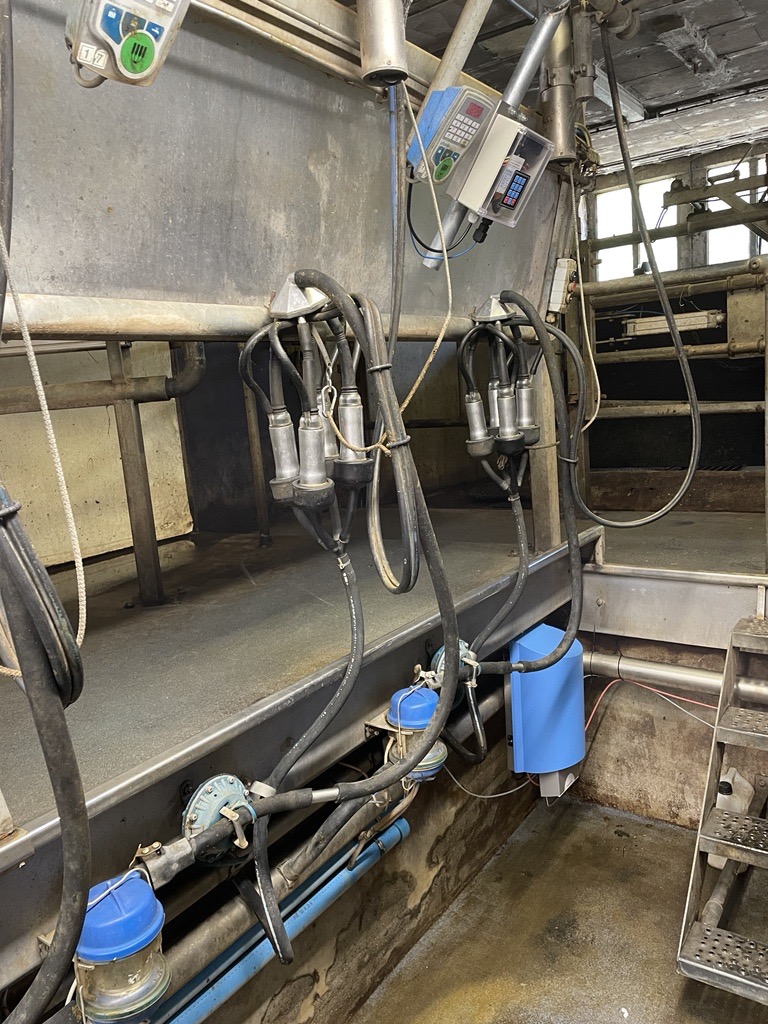 Do you have a conventional parlor? From now on, you can also have easy access to real-time and reliable cell count data to intervene quickly before the cow becomes ill. For more info, please contact info@lucibv.com #smartfarming #dairyfarmers #somaticcellcount #udderhealth #data