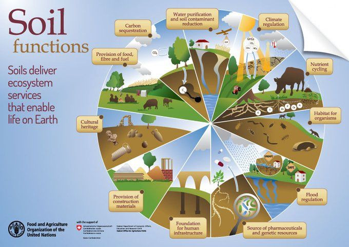 ls_tweeting's tweet image. We must impart to every human being that soil is not a resource to be used and thrown away. This is a life making ingredient. And if there is no soil, there is no food. #NoSoilNoFood savesoil.org
