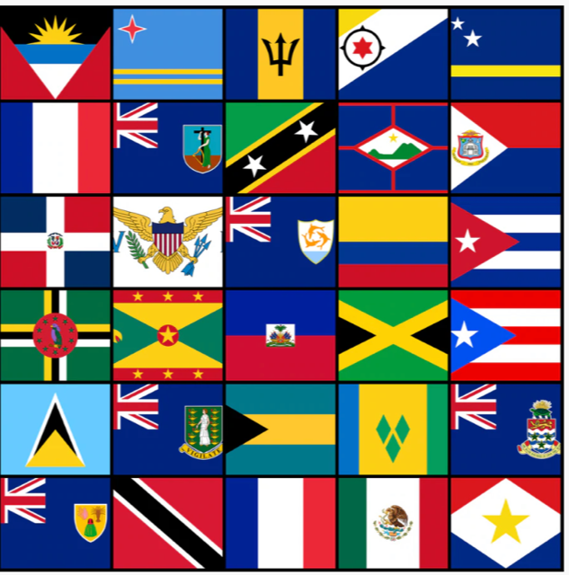 The Honorable Adrianne Todman tweet media