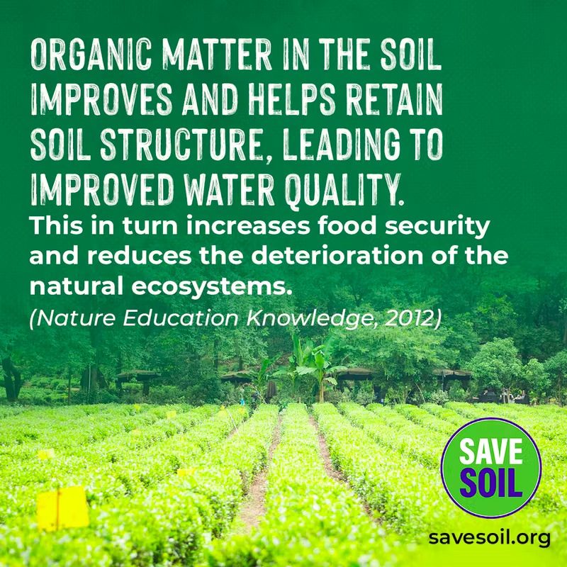 ls_tweeting's tweet image. Food production could fall by 30% in 20 years if soil extinction is not prevented. #NoSoilNoFood savesoil.org