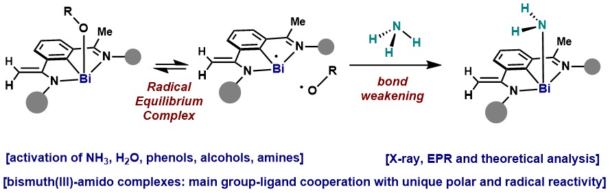 Activation of N-H and O-H bonds at Bi. Led by <a href="/sdyangxiu/">Xiuxiu Yang</a>. A great story together with the <a href="/mpicec_press/">MPI-CEC</a>. Congrats to all people involved! <a href="/ChemRxiv/">ChemRxiv</a> chemrxiv.org/engage/chemrxi…