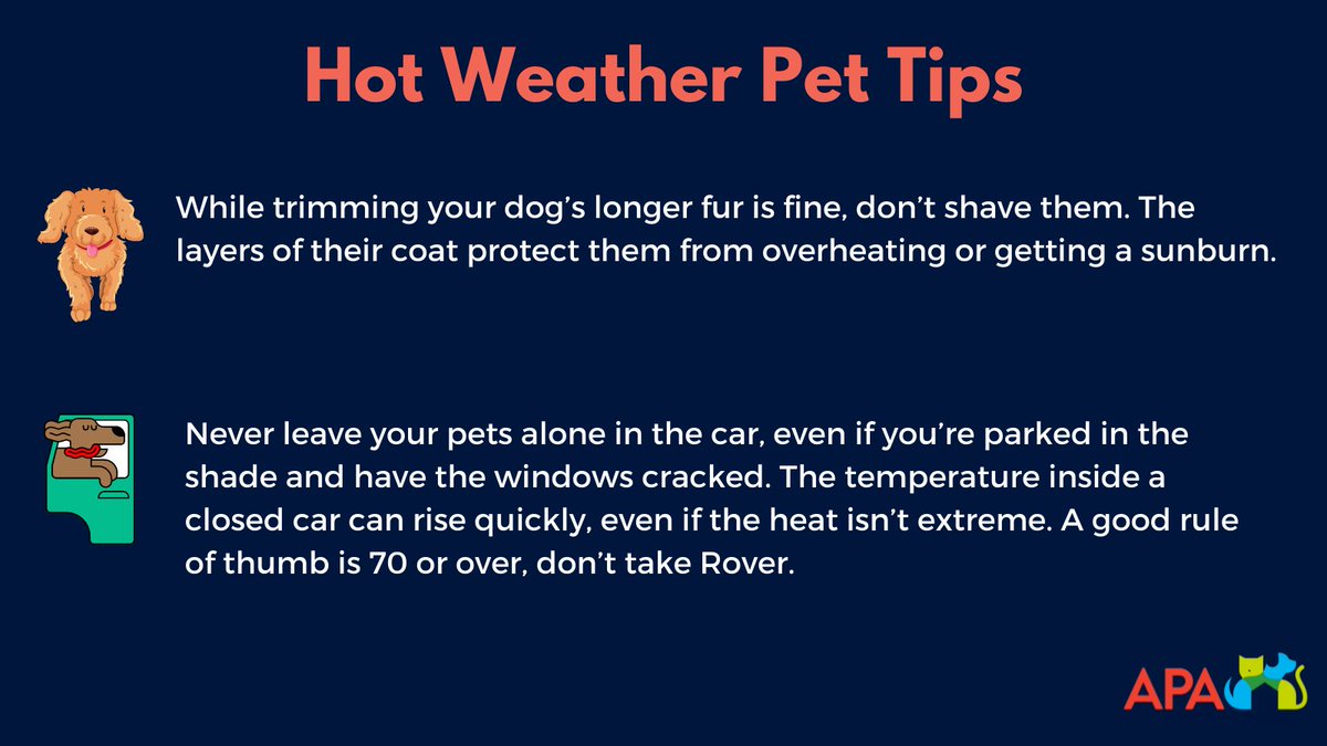 We are in an excessive heat warning for the next two days, St. Louis. #stlwx

Here are some handy tips we’ve compiled to help you keep your pets cool and safe during this dangerous sweltering heat.

Please RT!