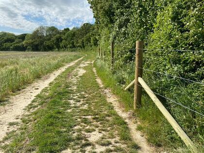 ManydownLife's tweet photo. Did you see we recently added fencing &amp; blackthorn native species along the border of the ancient woodland, to manage access to the delicate ground flora within the woodland at #Manydown #Basingstoke?
https://t.co/UaQjMqg48C
Sign-up to our newsletter here:
https://t.co/iwvNMbf23J https://t.co/xyjTH4Um24