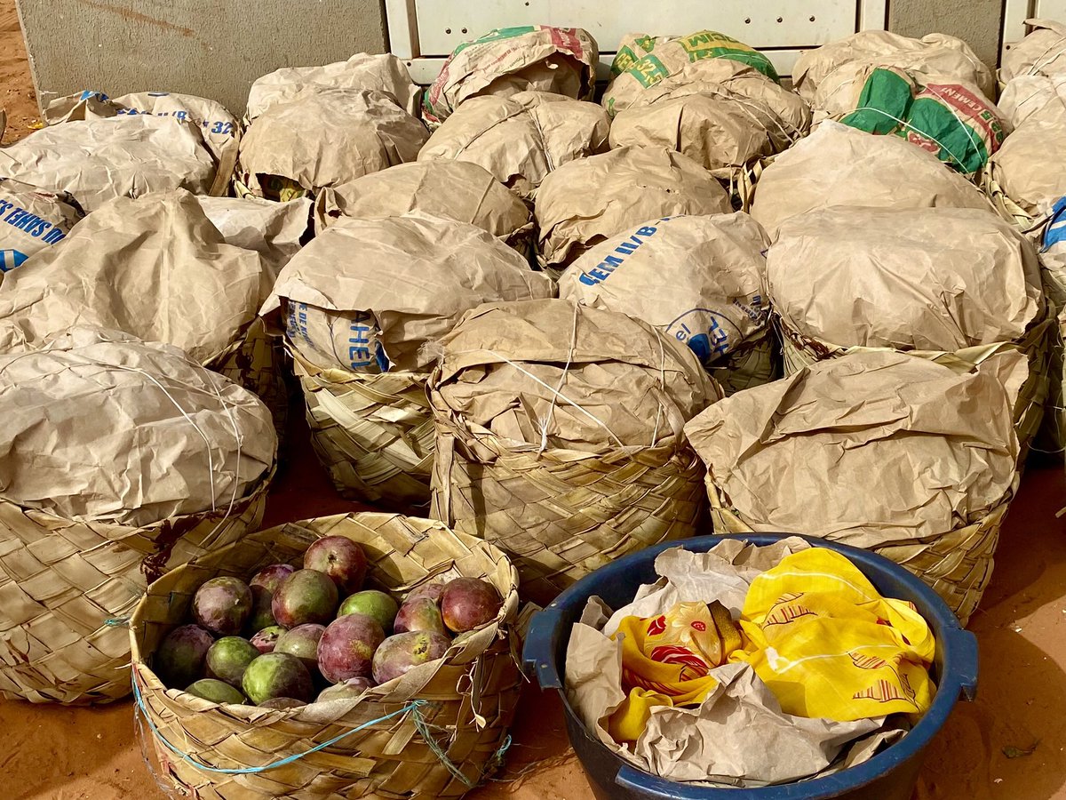 Les Marensines du Senegal tweet media