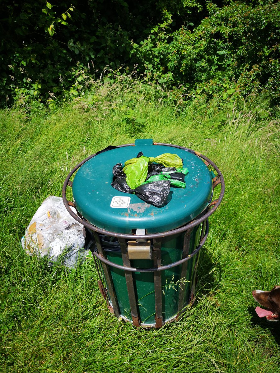 bignutty77's tweet photo. @seftoncouncil I propose you sort out the state of our communal areas! Shame on Sefton Council for the state of this place. https://t.co/HvG2bhm30h