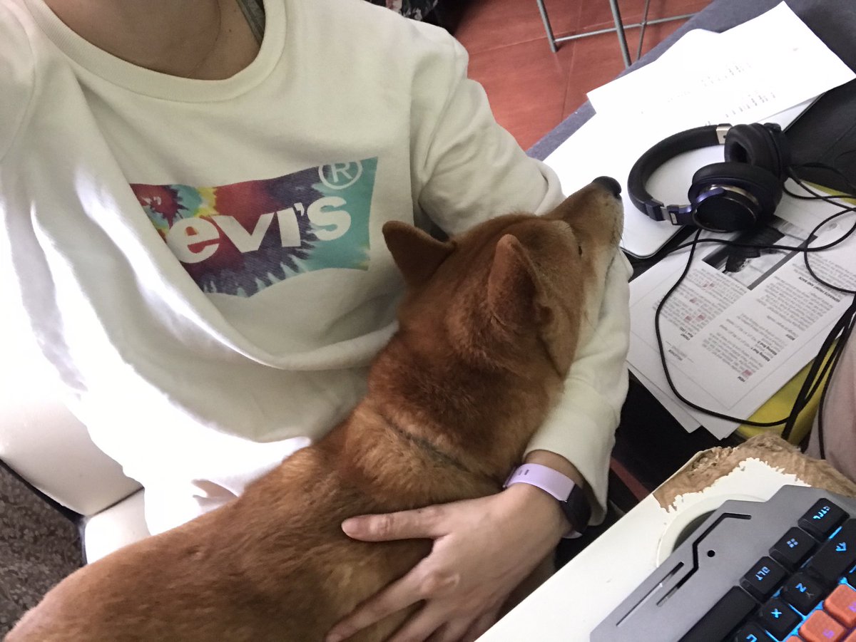 mojikockyucet's tweet photo. Venku je bouřka. Dokud nepřestane, mám jen jednu pracovní ruku. #emotionalsupporthuman https://t.co/67maXTh7yE