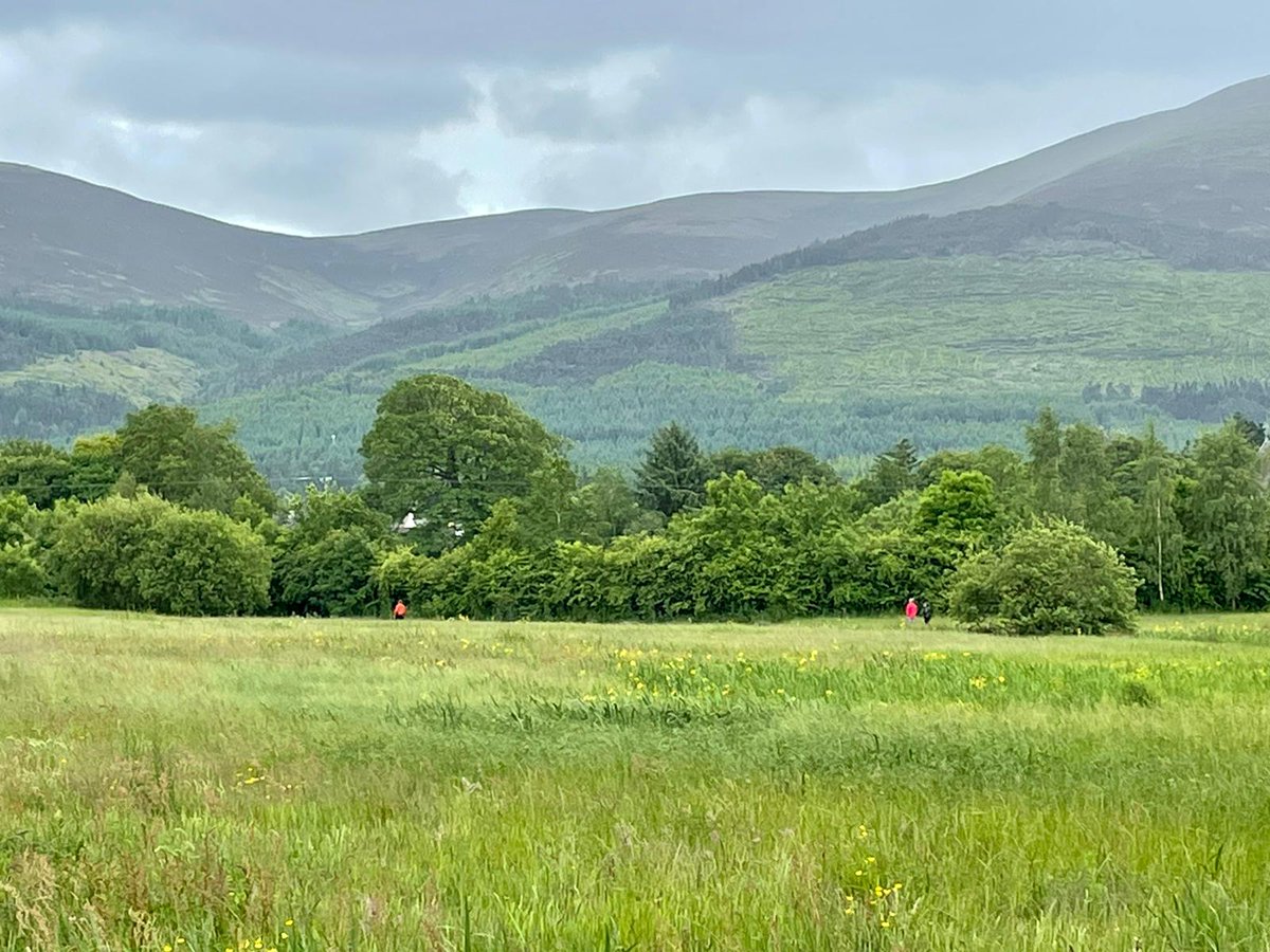 thesallows's tweet photo. We had the pleasure of hosting @sardaIreland again this weekend. Below is a picture of some of their members making use of our 11 acres of rewilded landscape for their scent training with their amazing dogs! The Knockmealdown Mountains look great in the background too! 😊 https://t.co/IOl3HhFvbk