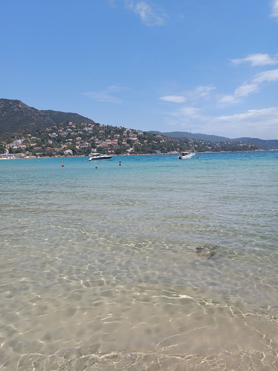 asha_crypto7's tweet image. bathing borgers  🏖️🏊‍♂️ #TeamEXP #GenerationPremium  #SwissBorg 
#TeamEXP #SwissBorgPL #WeAreSwissBorg