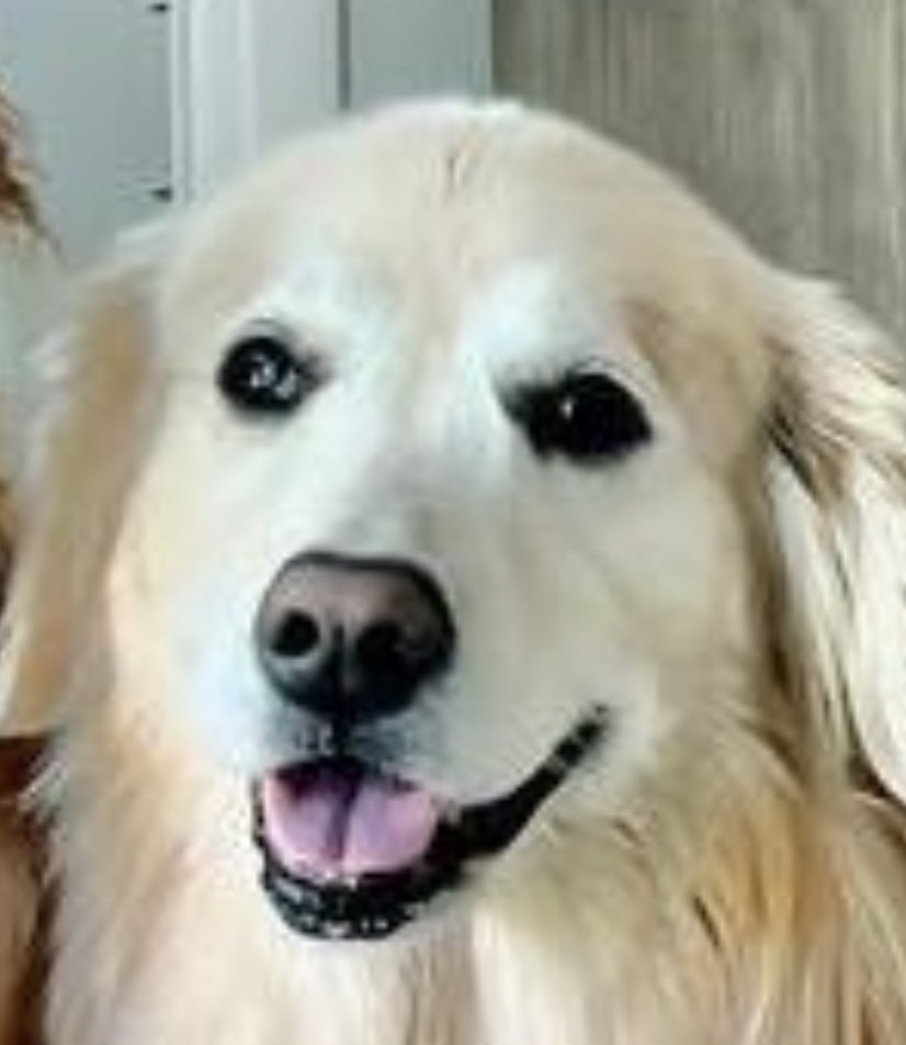 Emma Skinner🏳️‍🌈🏳️‍⚧️🇺🇦 tweet media