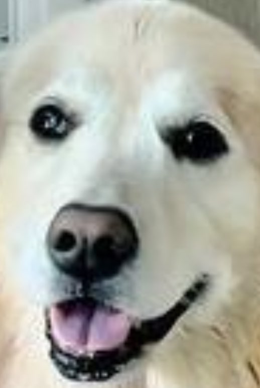 Emma Skinner🏳️‍🌈🏳️‍⚧️🇺🇦 tweet media