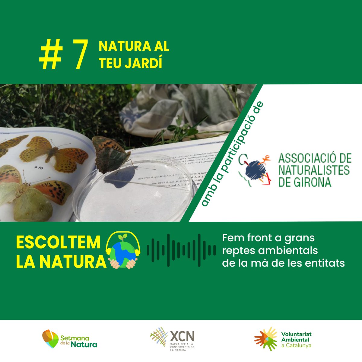 🍃La natura a les ciutats aporta molts beneficis, com l’adaptació al canvi climàtic o l’augment de pol·linitzadors... 

‼️🗣️Sobre la re-naturalització de les zones urbanes en parlem al 7è capítol d’#EscoltemNatura amb @natusgirona:
setmananatura.cat/2022/podcast/n…

(5)