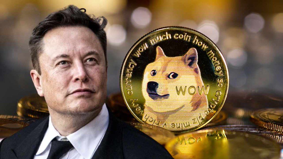 catandradec's tweet photo. Where are the survivors? together we will make history $Doge Fam https://t.co/i2AAk8jKxK
