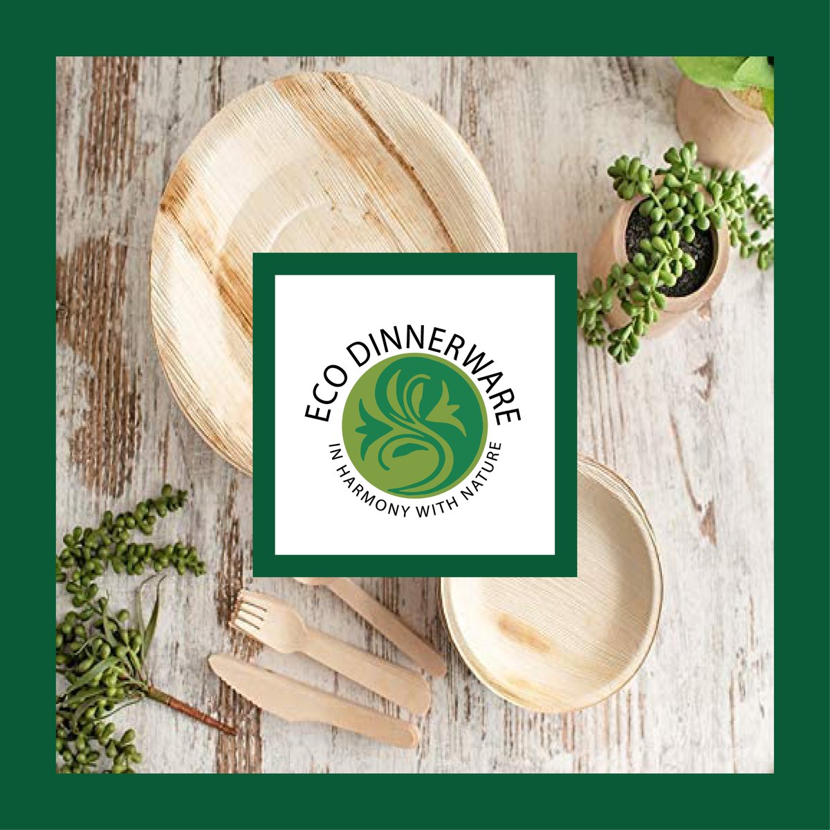 EcoDinnerwareUS's tweet image. We offer the best eco dinnerware with discounts and special offers in Canada.

To Get more details visit ecodinnerware.ca or E-mail us at customerservice@ecodinnerware.ca 
#straws  #roundplate #palmleafplates #ecofriendly #event #ecodinnerwareca #canada #FamilyPack