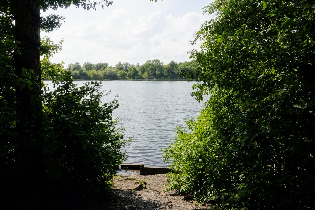 fotoaufnahme's tweet image. Zwischen dem Wald- und Wiesengewässer "#Rotbach" und dem Durchfließen der Altstadt von Dinslaken, wird der Bachlauf im Ortsteil Hiesfeld in einem See gestaut.
