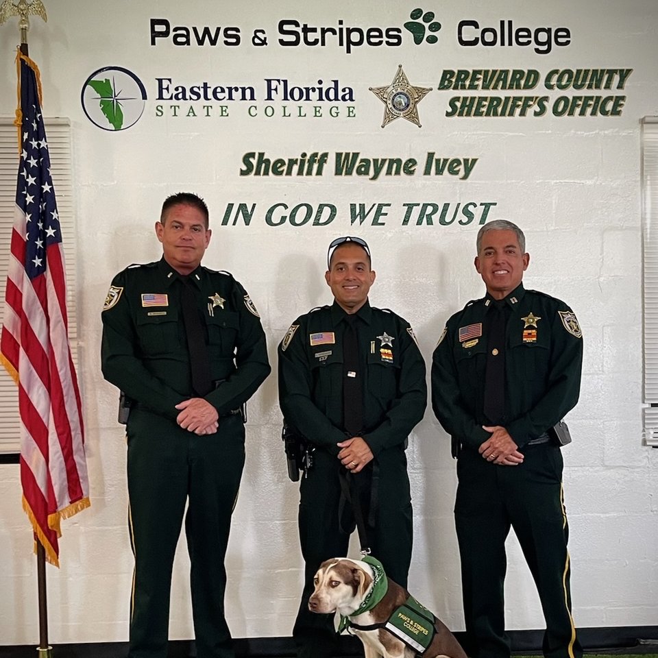 PBSO On Twitter We Begin The Week With Some MondayMotivation News 