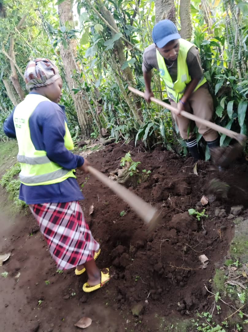 NyangeYouth1's tweet photo. @NyangeYouth1 Dukomeje kugira uruhare mumibereho myiza y'abaturage, by'umwihariko mukubaka imirima y'igikoni no gufasha abatuye #Nyangesector kugira Isuku. @karambikarima @YouthMusanze @RobertByiri https://t.co/wRp9dKNnhL