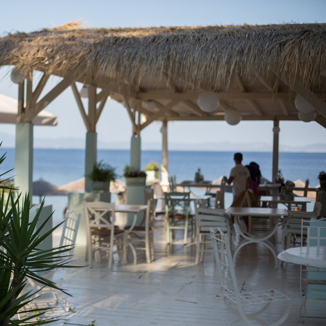 Anyone who loves food and wine will love going to restaurants. It’s good to unwind at a restaurant. 
Sign up today and get one year of complimentary access to the premium plan retireonmybudget.com/register to use promo code START PLANNING no credit card is required ⁠

.
#restaurants