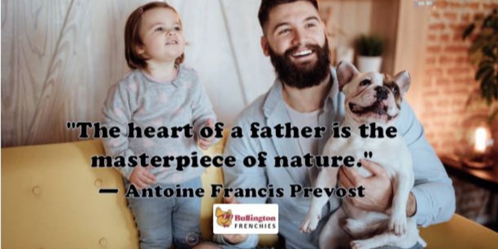 BullingtonFB's tweet photo. "The heart of a father is the masterpiece of nature." — Antoine Francis Prevost
Bullington Frenchies - (701) 290-3735
https://t.co/Axww0YzmYO
.
.
#bullingtonfrenchies #mondaymotivation #quotes #fatherquotes #frenchbulldog #frenchies #exoticfrenchies https://t.co/ZkEqWjPkJo