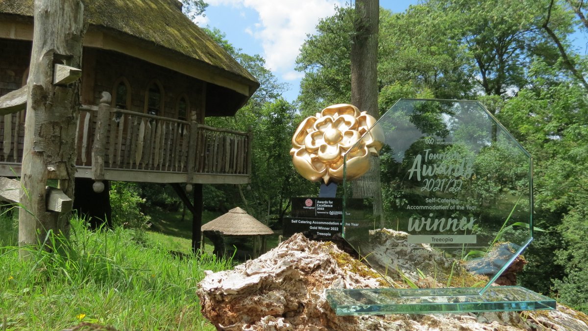 Treeopia -Luxury Treehouse Escape tweet media