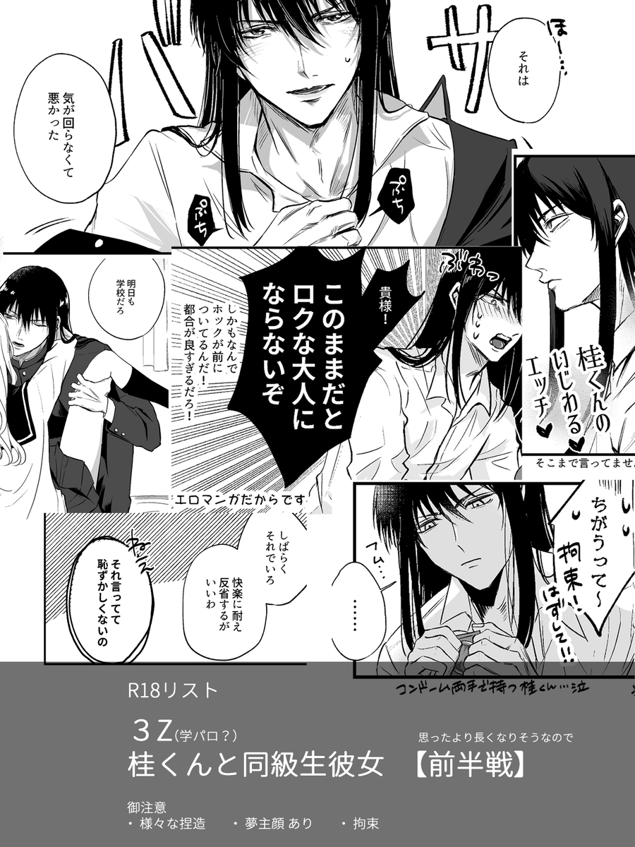 公の場での発言・インタビュー報道記録