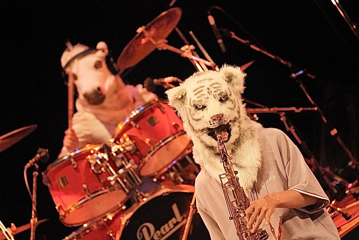 takayukisanya's tweet image. 螢螢➖➖HOTARU Fes➖➖螢螢
                  （北房文化センターより）

      🎵カッケｪｪ🐯🐴ちゃん🎵
           💗ウキウキHappy 💗
Oh！CD持ってるぜ【何でシマシマ柄やねん‼︎ツッテ！！W】
#torauma #獣バンド #イケバンド 
#サックスドラム🎷🥁