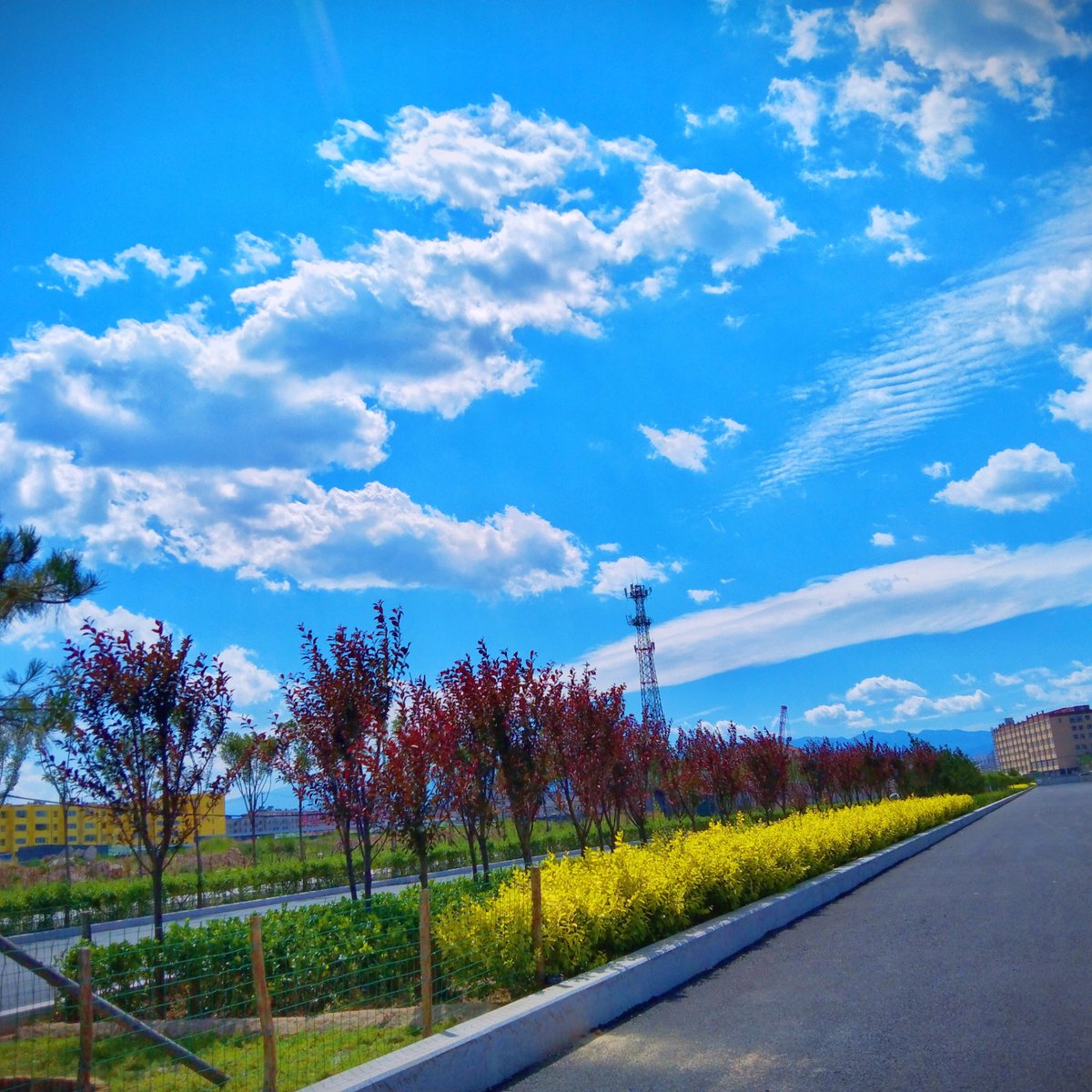 yan49077553's tweet photo. @vp__couple https://t.co/S1T85DNi88