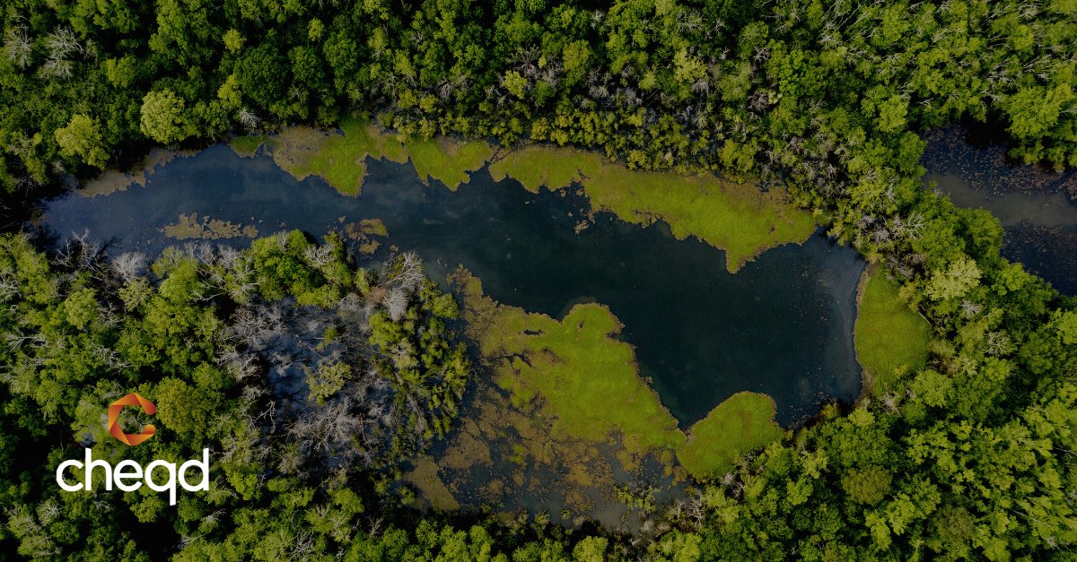 Hey frens! We're looking for #web3/ #blockchain companies involved in #climate/ #sustainability-related activities 🌱🌾🍇

Please share the ones you know in the comments below 👇