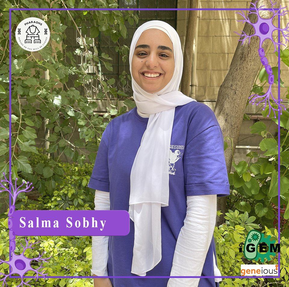 iGEM Pharaohs 🇪🇬 tweet media