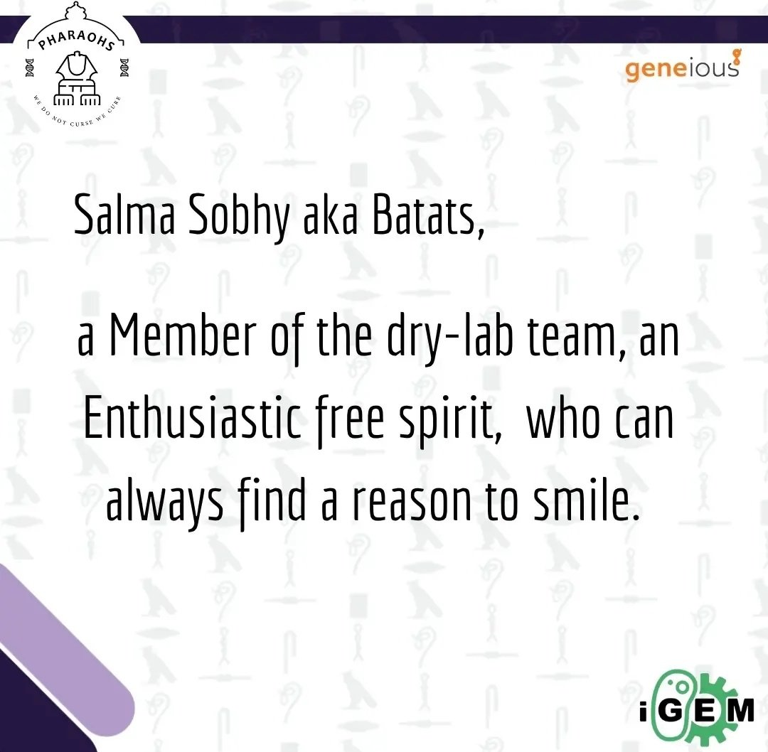 iGEM Pharaohs 🇪🇬 tweet media