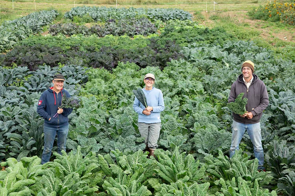 highmowingseeds's tweet photo. One thing we can do to ensure our #harvests are bountiful right up to frost, is to sow our fall crops during midsummer. If plants can #germinate and become established, fall can be exceptionally productive.
Browse our #fallcrops today at: https://t.co/TFCXWMnJej 🥕🥕 https://t.co/uPSgIlF8ZJ