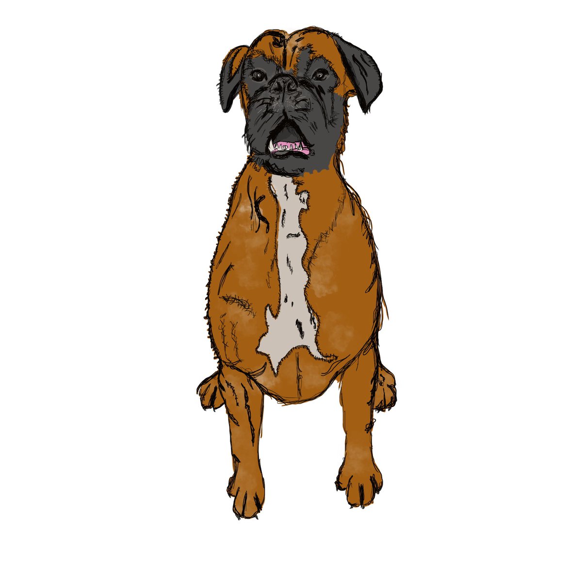 thetenaciousnft's tweet photo. « Nuts » #NFTs #nftart #design #drawing #FreeMint #dogecoin #dogsoftwitter https://t.co/i2rIIFyjFo
