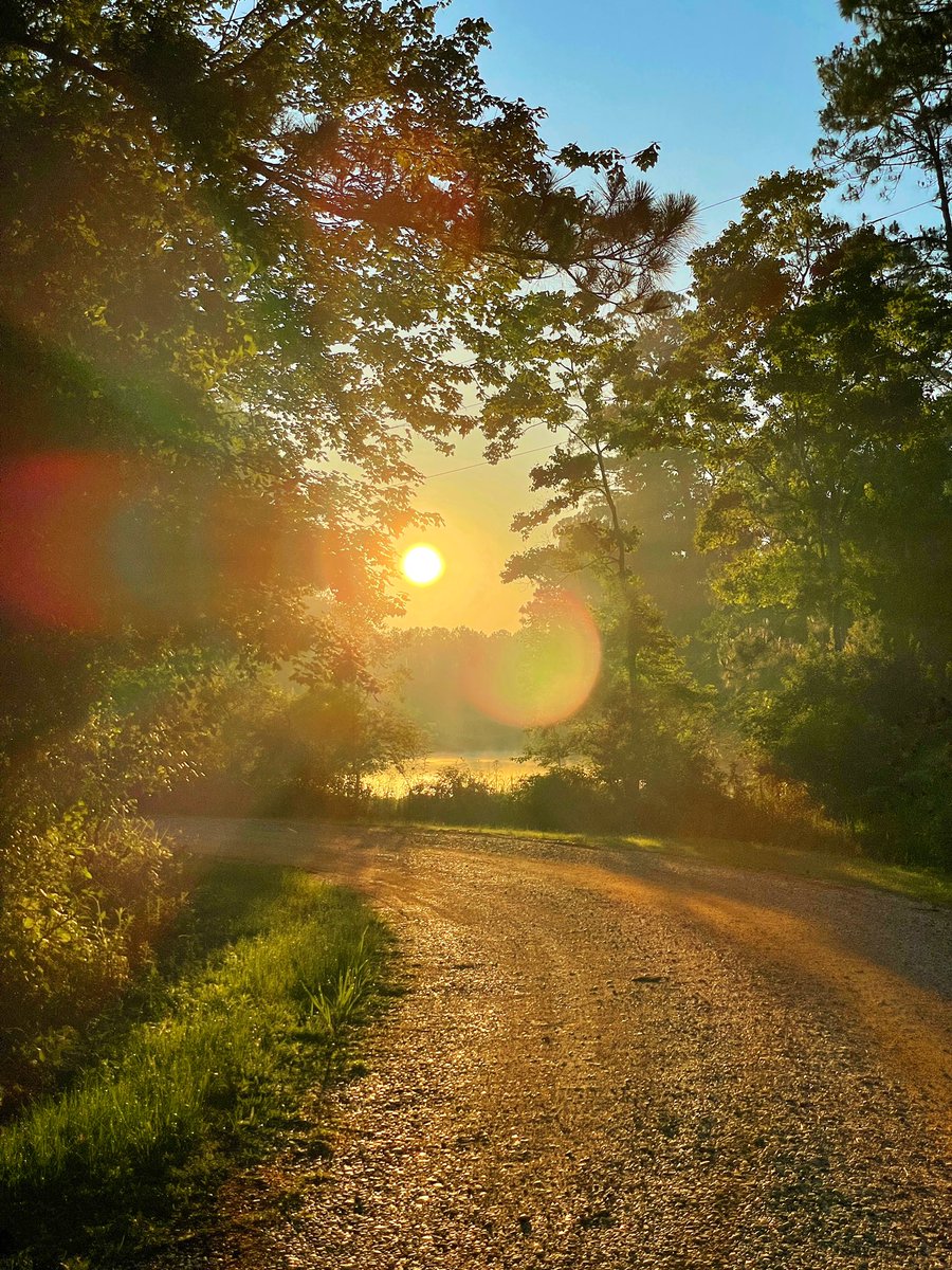 David Nola tweet media