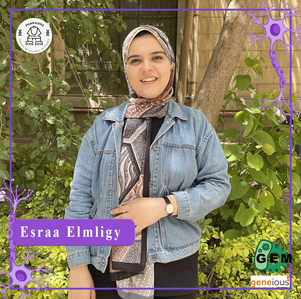 iGEM Pharaohs 🇪🇬 tweet media