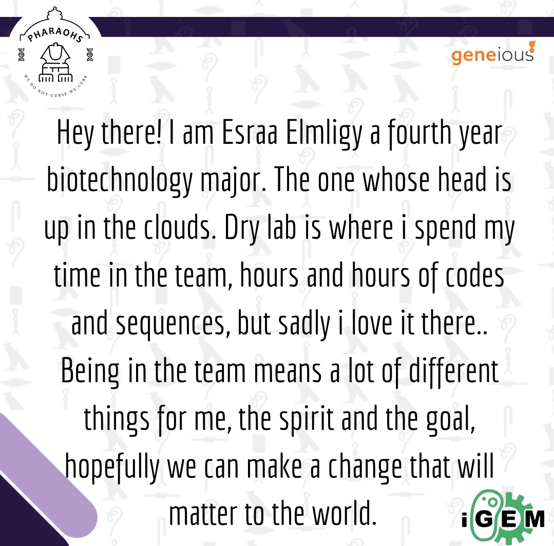 iGEM Pharaohs 🇪🇬 tweet media