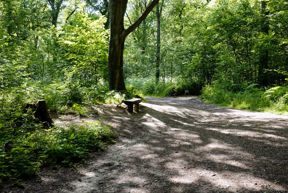 fotoaufnahme's tweet image. Entlang des "#Rotbach" und um den "#HiesfelderSee" gibt es ein gut ausgebautes Wegenetz für kurze und längere Spaziergänge -fahrten zu Fuß oder mit dem Rad.